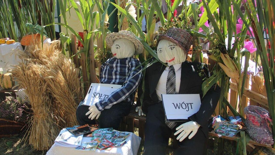 Jak wypromować się na dożynkach? Starosta daje kasę za najlepsze wieńce i stoiska 