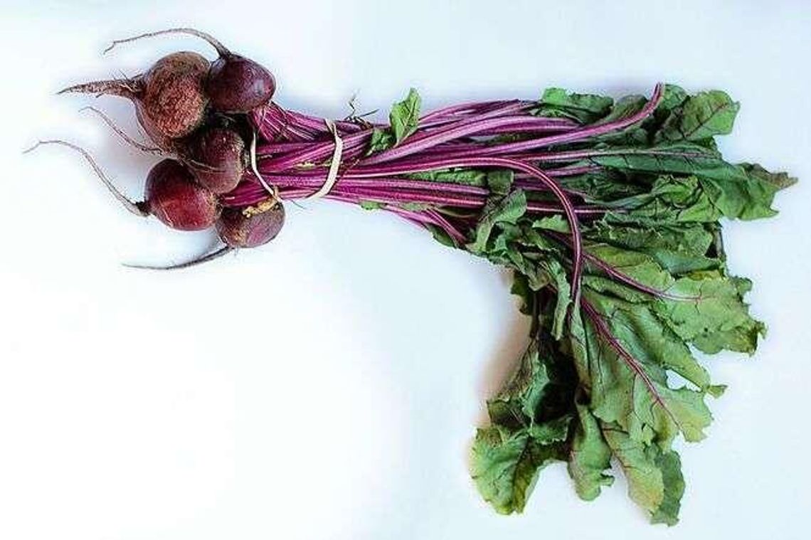 Jak założyć gospodarstwo ekologiczne? Porady specjalisty