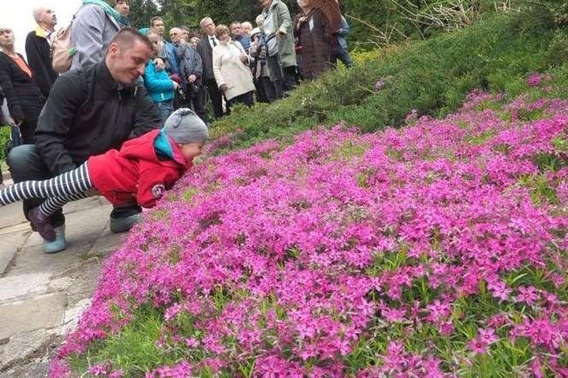 Jak założyć własny ogród? Porady w Ogrodzie Botanicznym
