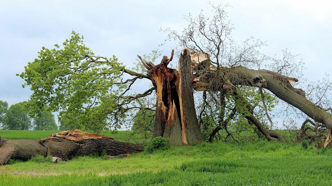 Jak zmienia się klimat w Polsce? 
