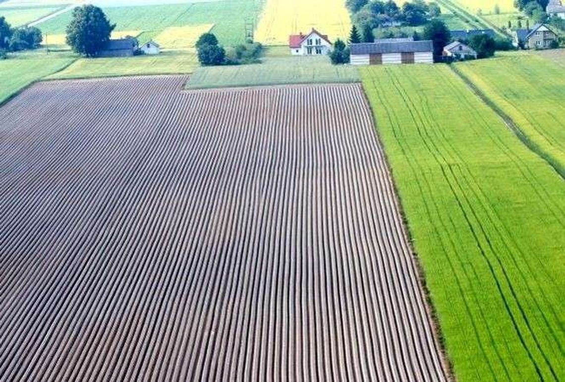 Jakie mają być kwoty płatności bezpośrednich za 2016 rok?