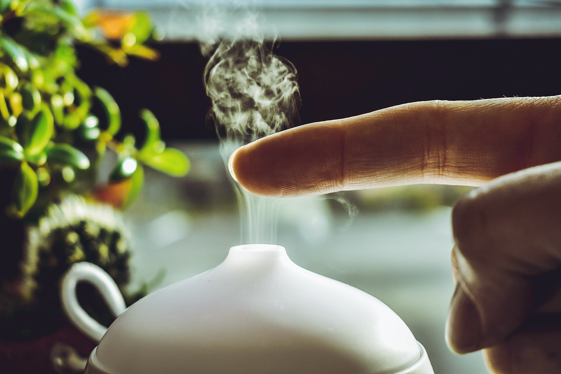 Jakie olejki eteryczne wybrać do domowego dyfuzora?
