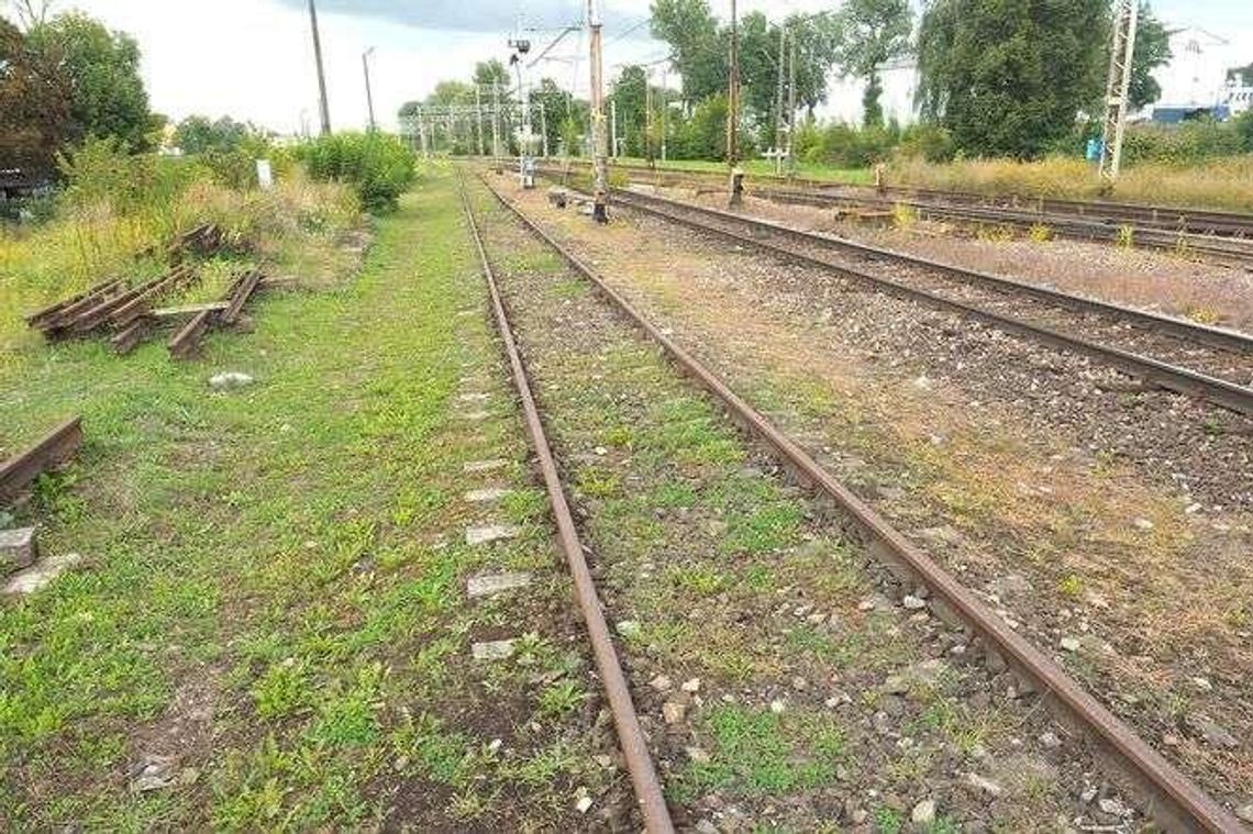 Jakie problemy mają piesi w Lublinie? Ratusz chce się dowiedzieć Jakie problemy mają piesi w Lublinie? Ratusz chce się dowiedzieć