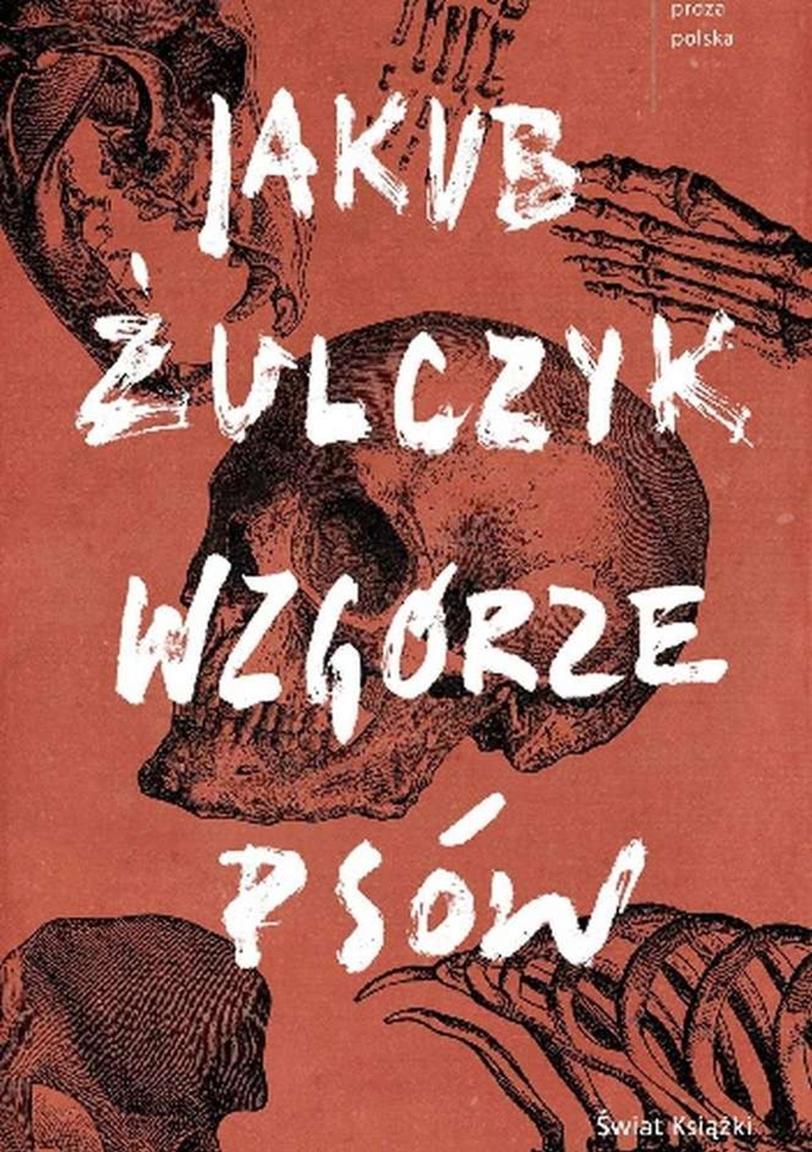 Jakub Żulczyk "Wzgórze psów". Recenzja książki