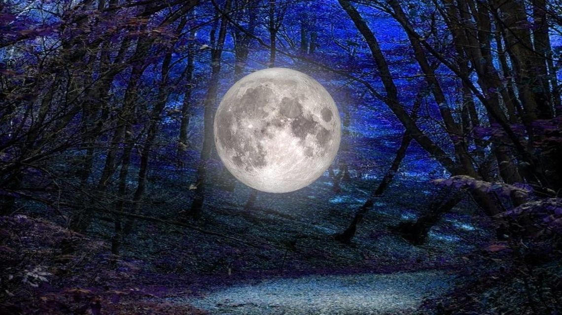 Jan Michalec z jazzowym koncertem w Kazimierzu