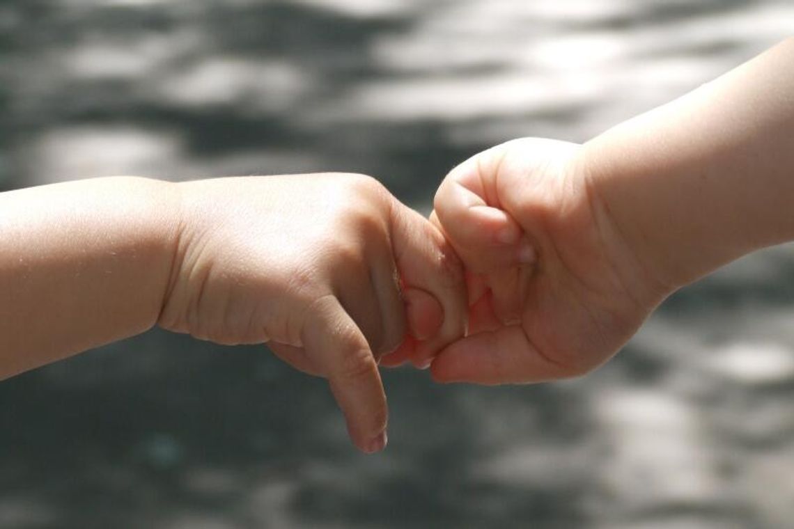 Janów Lubelski: zamiast starostwa będzie ośrodek dla chorych dzieci