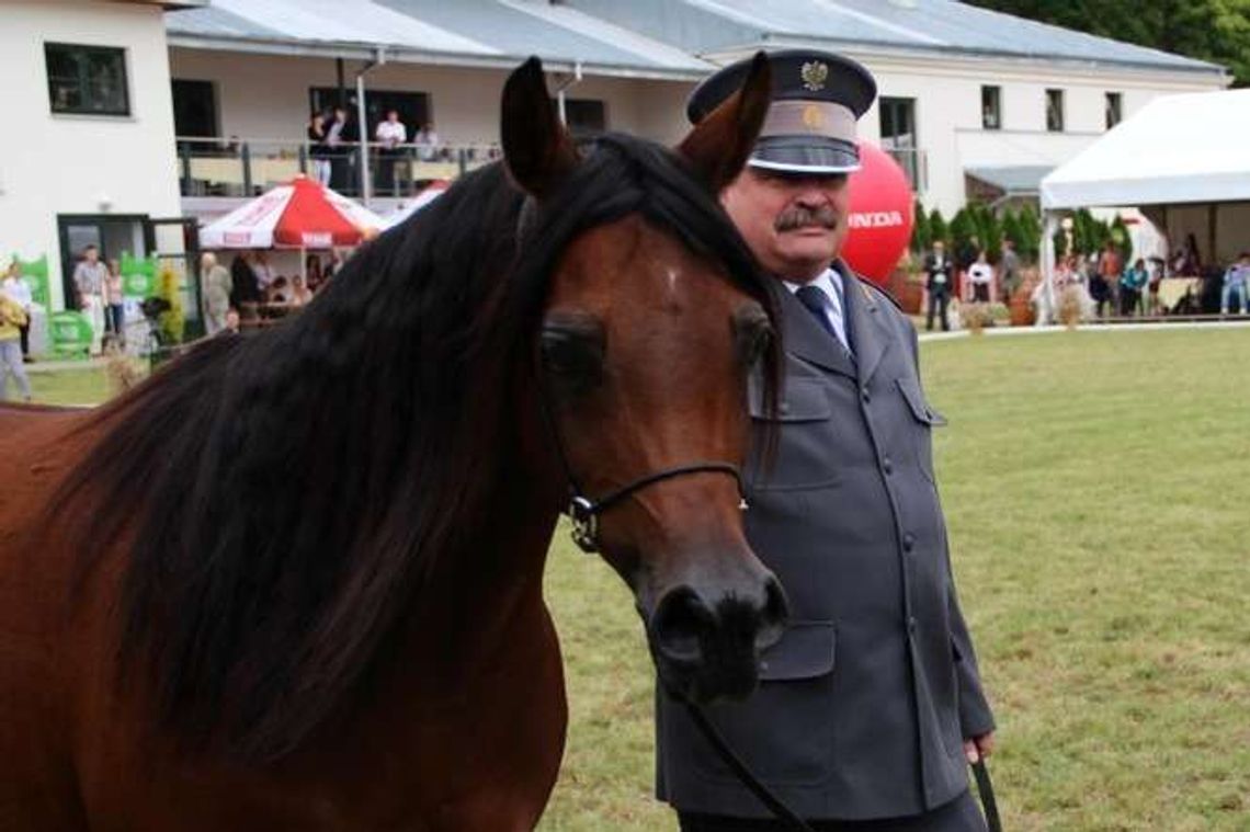 Janów Podlaski. Awans prezesa stadniny