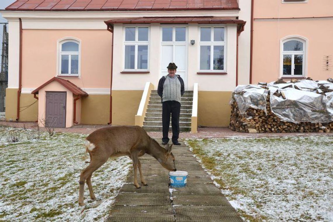 Janów Podlaski: Ksiądz proboszcz gromadzi zwierzęta, stworzył minizoo