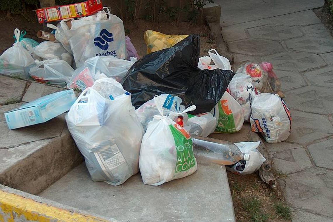 Janów Podlaski: Śmieci na opał albo do lasu