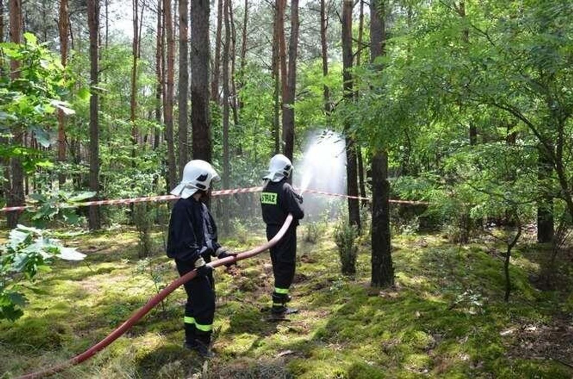 Janowice. Strażacy testowali gaszenie lasu