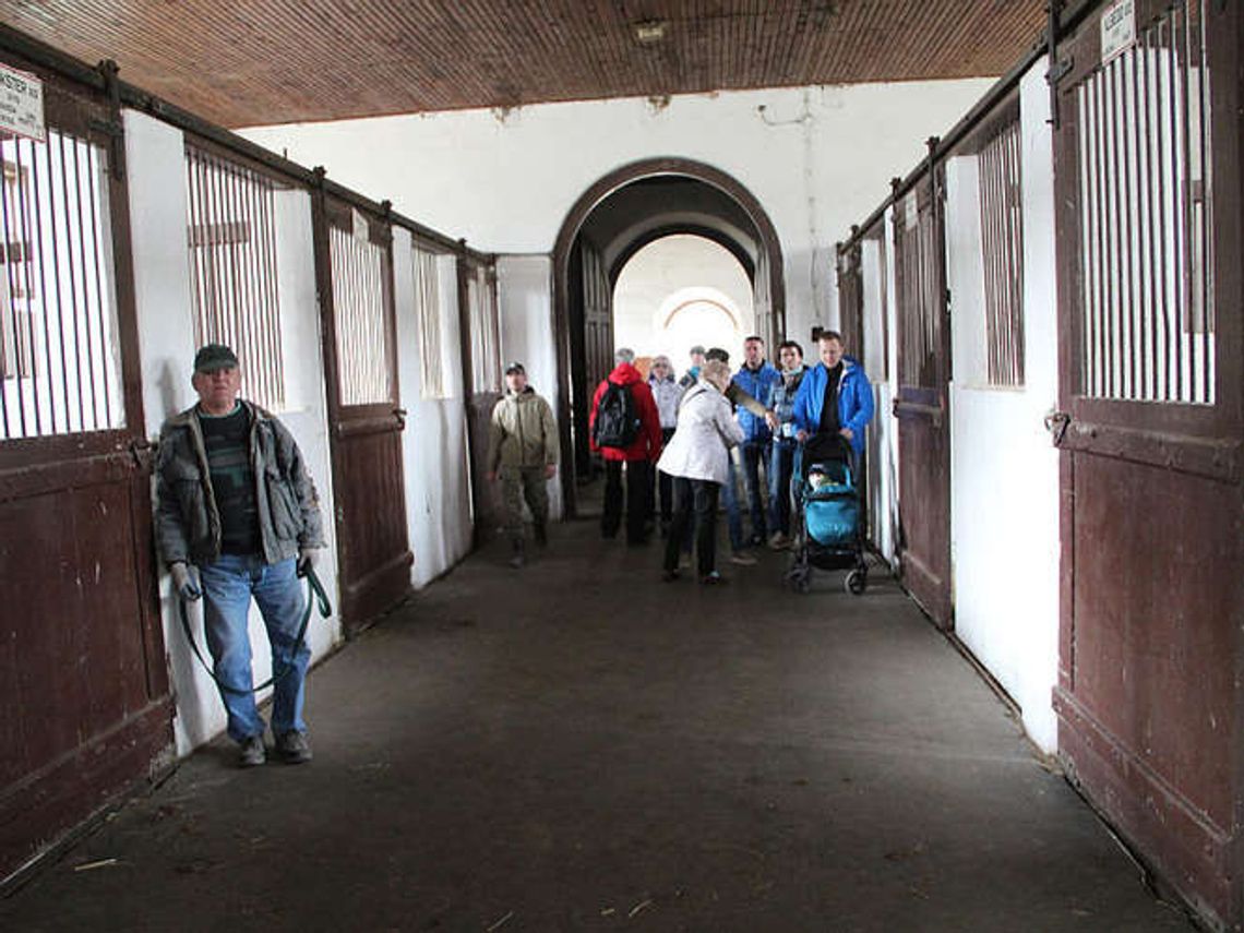 Janowska stadnina sprzedała dziewięć koni. Za sumę 81 tysięcy złotych