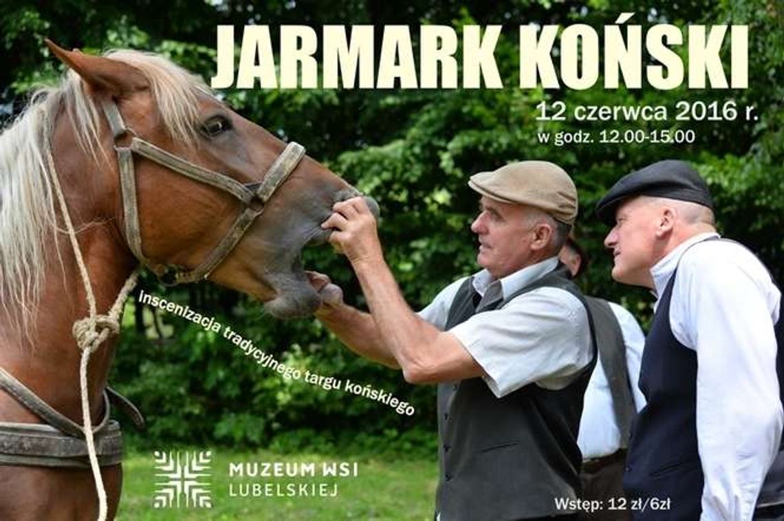 Jarmark koński w Muzeum Wsi Lubelskiej