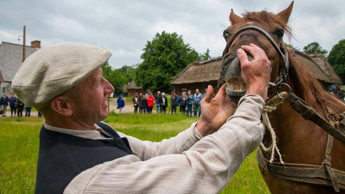 Jarmark koński w Muzeum Wsi Lubelskiej