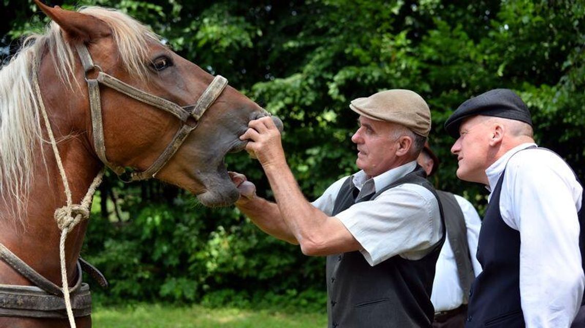 Jarmark koński w Skansenie