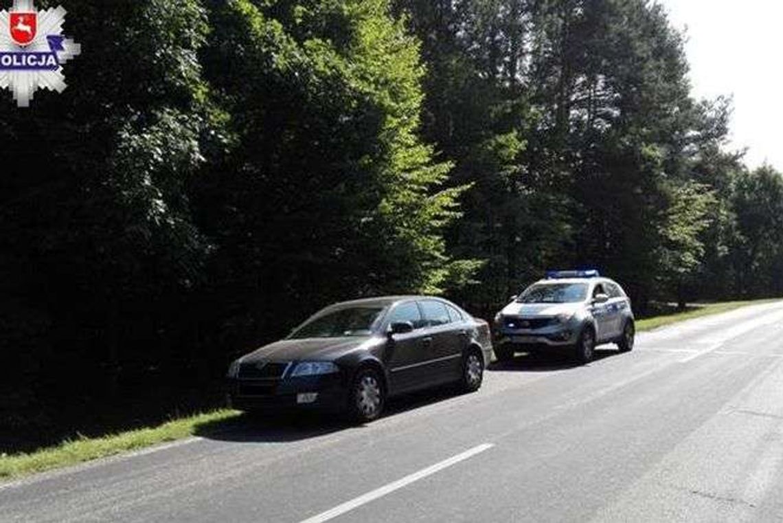 Jechał autem przez las. Przed maskę wybiegł dzik Jechał autem przez las. Przed maskę wybiegł dzik
