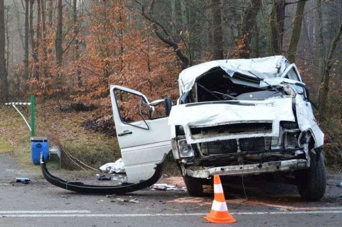 Jechał za szybko. Uderzył w drzewo 