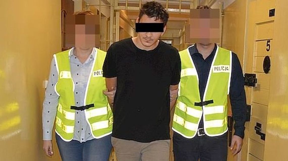 Jeden pies po serii ciosów uciekł. Drugi nie mógł, 21-latek uderzał owczarka nożem w pysk