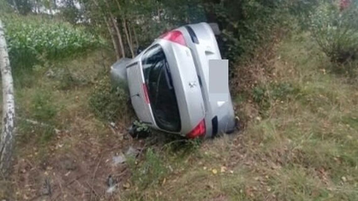 Jedna mucha, a tyle kłopotów