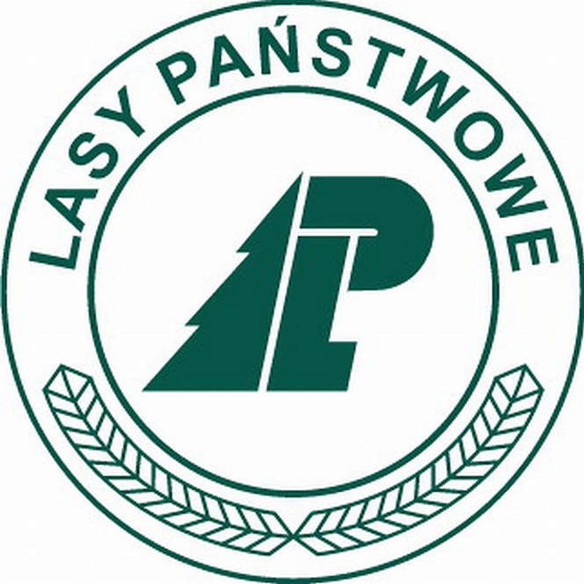 Jerzy Sądel nowym dyrektorem Lasów Państwowych w Lublinie Jerzy Sądel nowym dyrektorem Lasów Państwowych w Lublinie