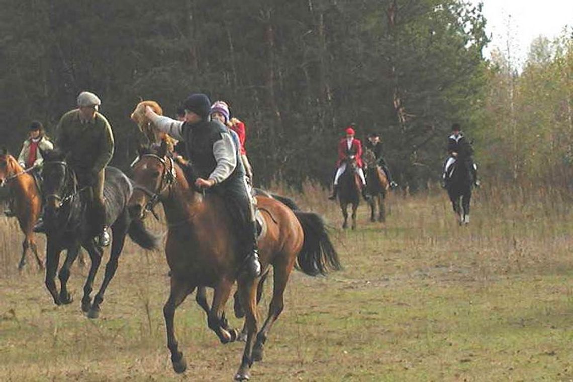 Jesienny bieg po rude trofeum 