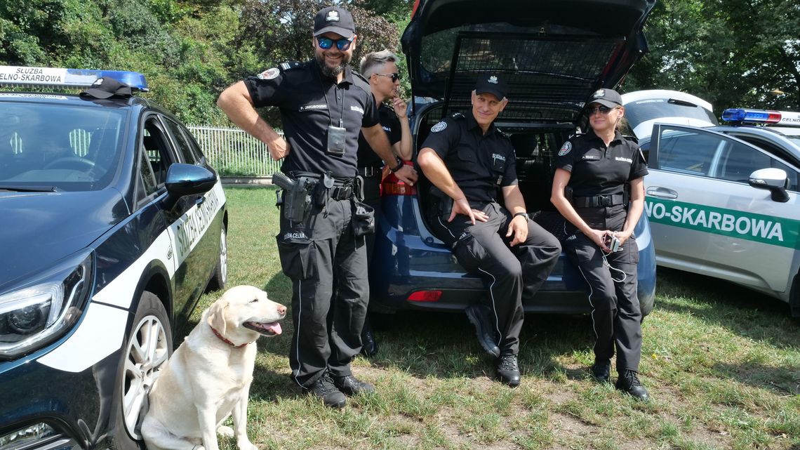 Jest praca w skarbówce w Lublinie i Białej Podlaskiej. Sprawdź ile można zarobić Jest praca w skarbówce w Lublinie i Białej Podlaskiej. Sprawdź ile można zarobić