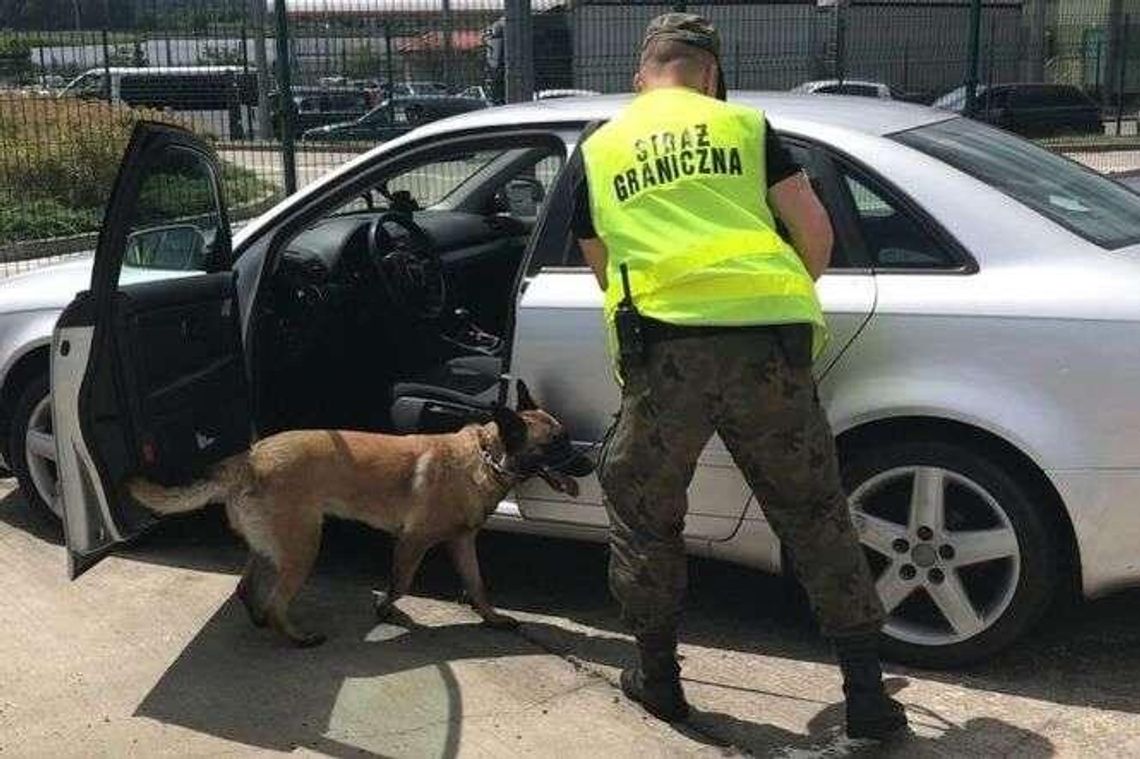 Jest praca w Straży Granicznej. Ile można zarobić?
