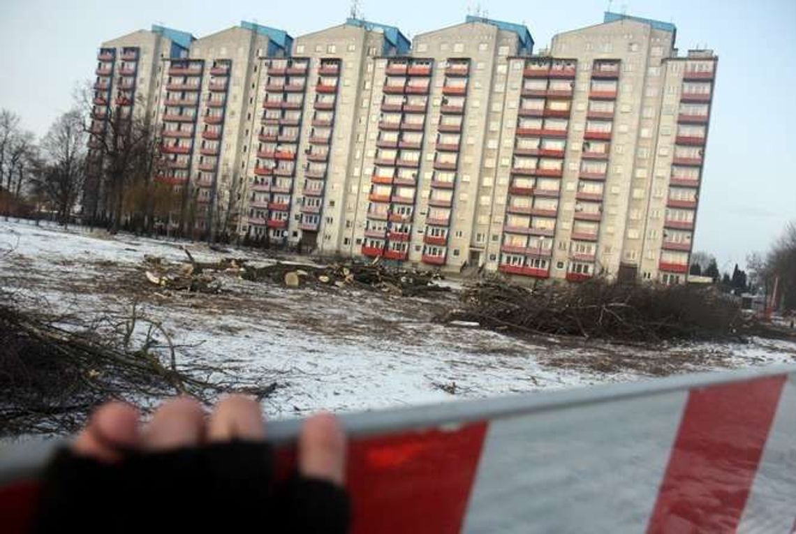 Jest wyrok za wycinkę drzew przy ul. Walecznych w Lublinie. Były dyrektor skazany