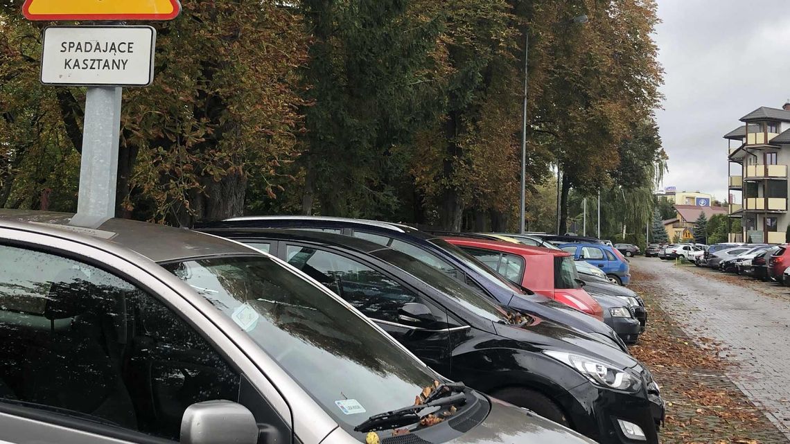 Jeszcze darmowe, ale wkrótce być może płatne. Plan na rozszerzenie stref parkingowych Jeszcze darmowe, ale wkrótce być może płatne. Plan na rozszerzenie stref parkingowych