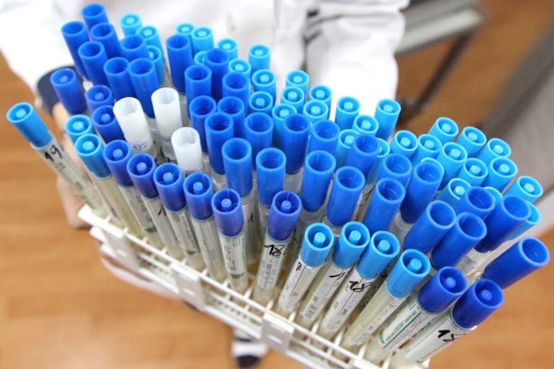 Jeszcze więcej zatrutych po imprezach w Parczewie