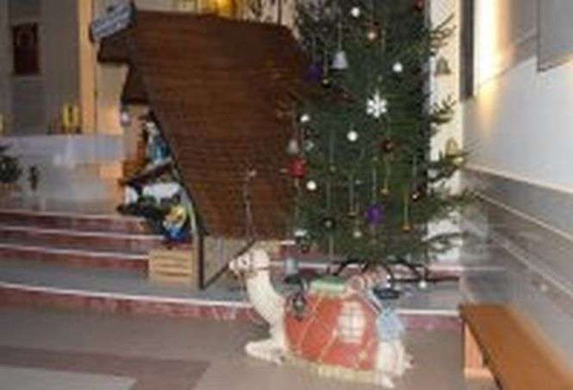 Jeździł na wielbłądzie w kościelnej szopce. Wierni w szoku