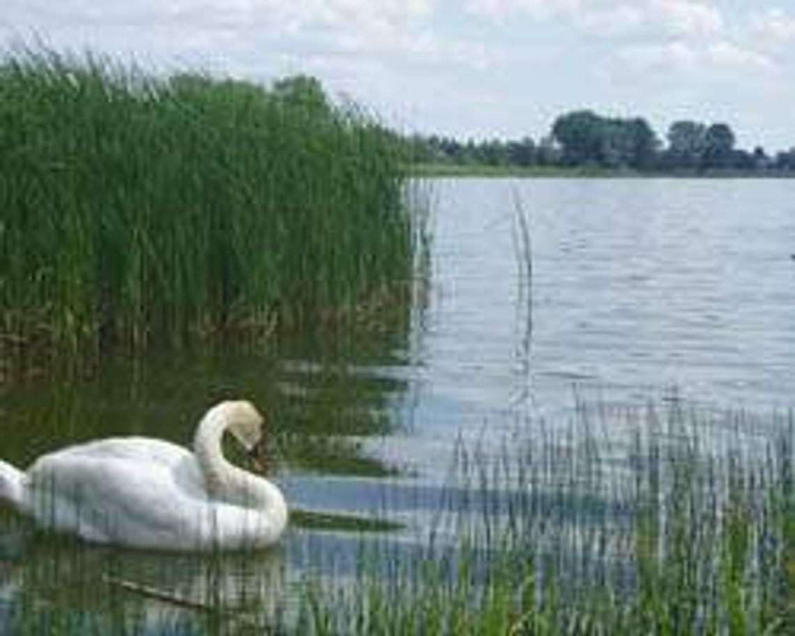 Jezioro Firlej (nr 36) - 0 głosów