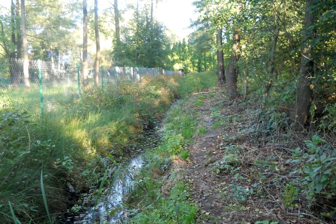 Jezioro Łukcze za siatką. Właściciele działek mają problem