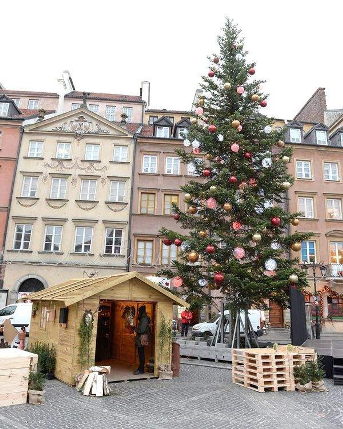 Jodła z łukowskich lasów stanęła na warszawskim rynku