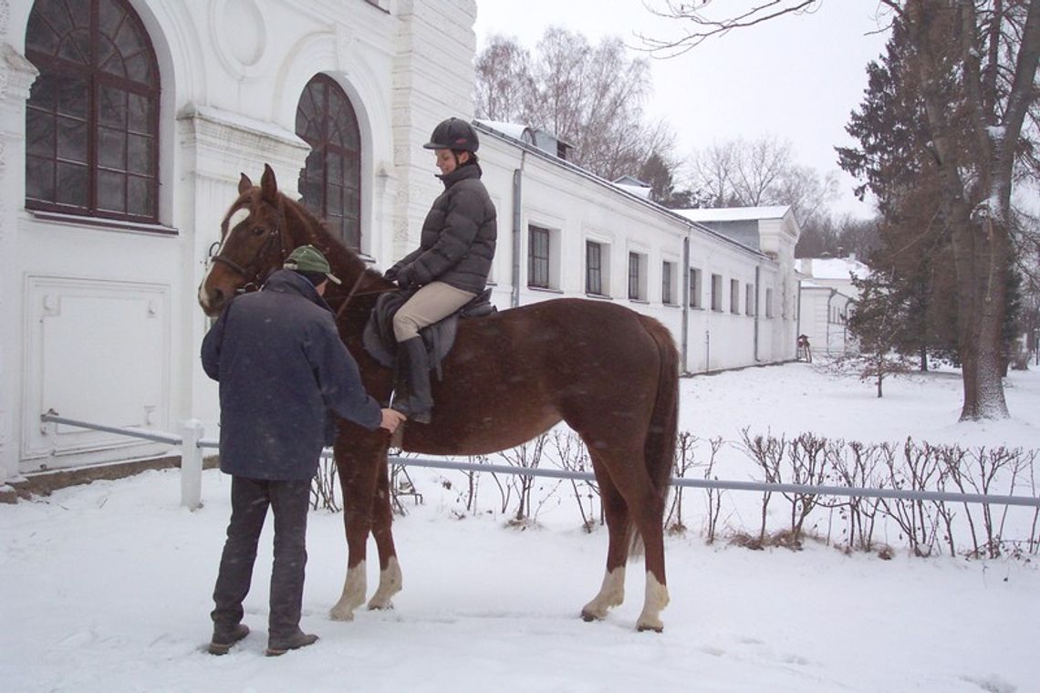 Jukatan - koń profesor Jukatan - koń profesor