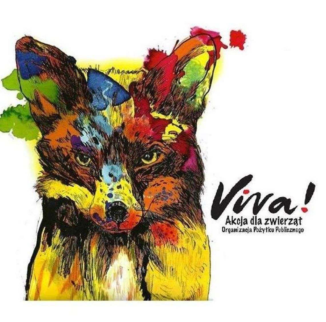 "Jutro będzie futro" w DK LSM