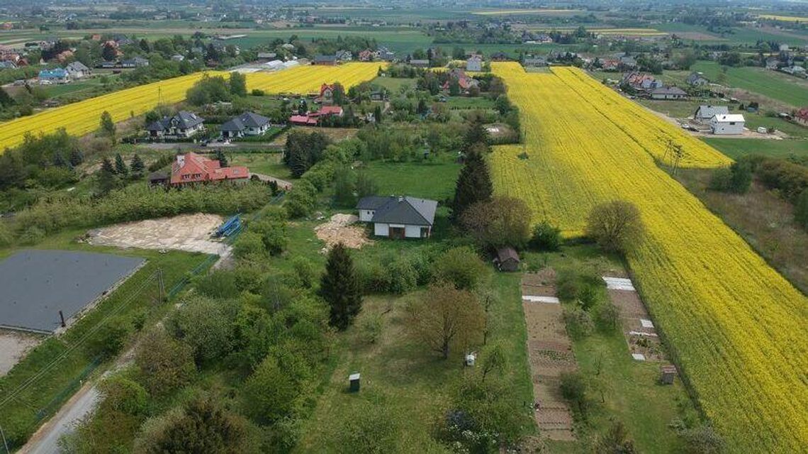 Jutro zaczynają się "Zimni Ogrodnicy". Czy przyniosą na Lubelszczyznę przymrozki? Jutro zaczynają się "Zimni Ogrodnicy". Czy przyniosą na Lubelszczyznę przymrozki?