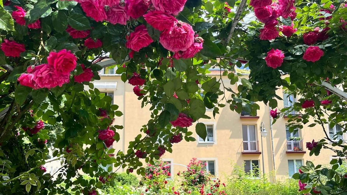 Już dziś! Ostatni dzwonek na obywatelski pomysł