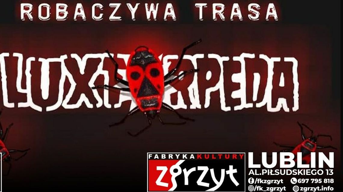 Już w czwartek! Luxtorpeda w Lublinie 