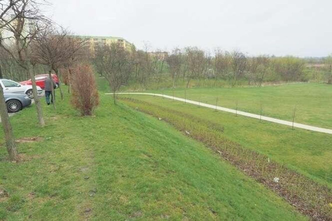 Już wiadomo, kto urządzi nowy park. Firma z Lublina odpadła