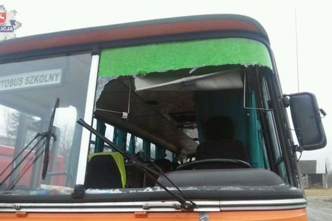 Kaczka rozbiła szybę w szkolnym autobusie i wleciała do środka