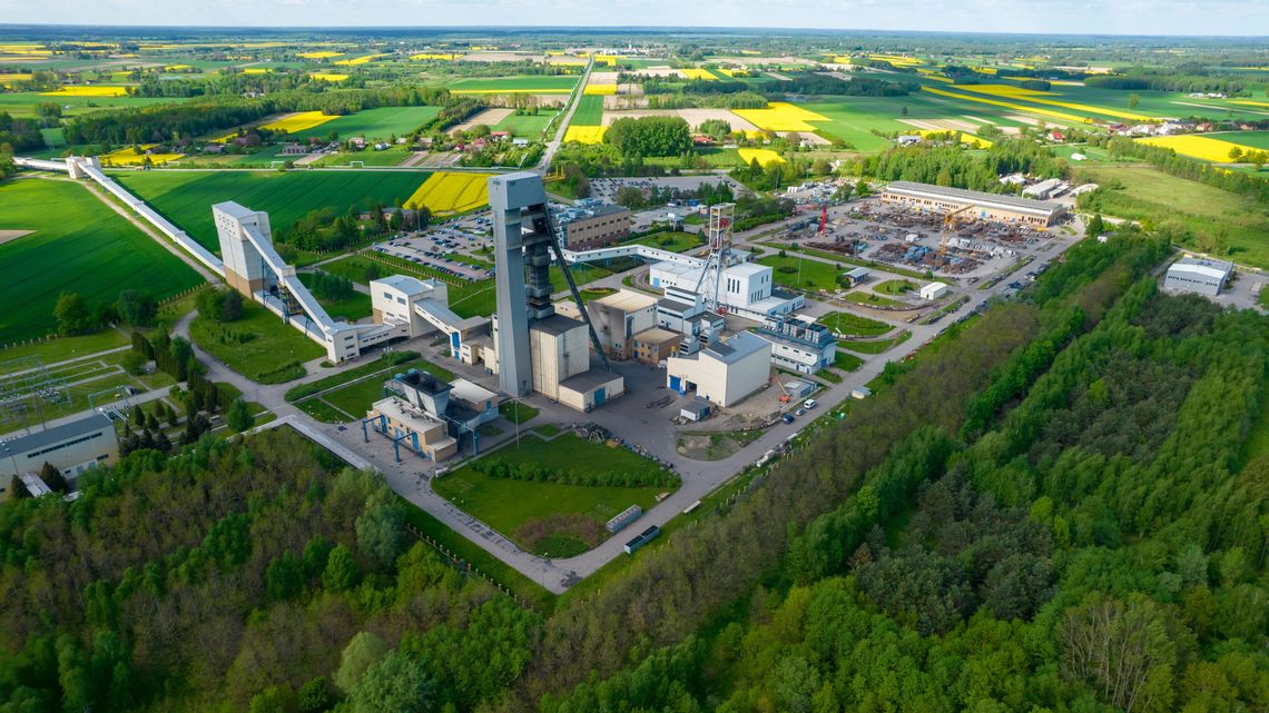 Kadrowa miotła w Bogdance Kadrowa miotła w Bogdance