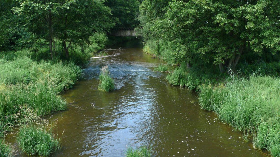 Kajakiem po Chodelce. Trasa spływu ma być bardziej atrakcyjna dla turystów Kajakiem po Chodelce. Trasa spływu ma być bardziej atrakcyjna dla turystów