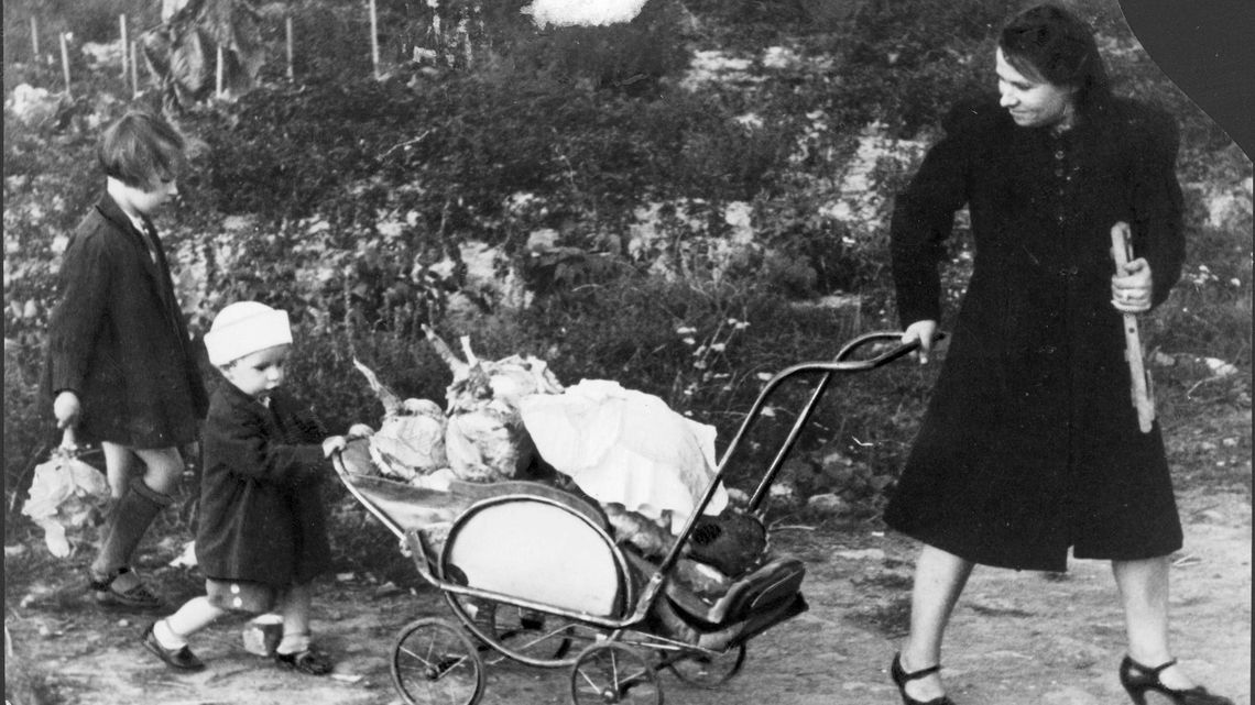 Kalarepa w menu może być groźna