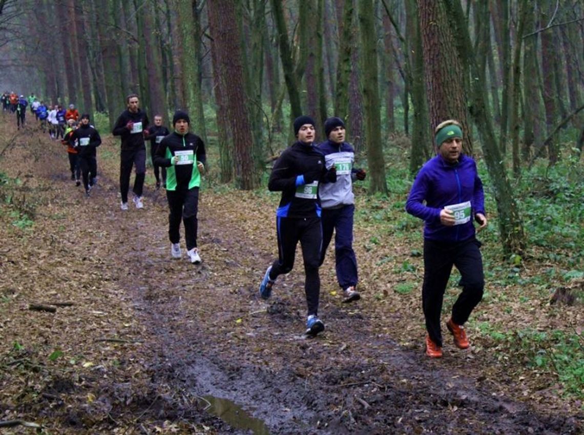 Kalendarz imprez sportowych na weekend