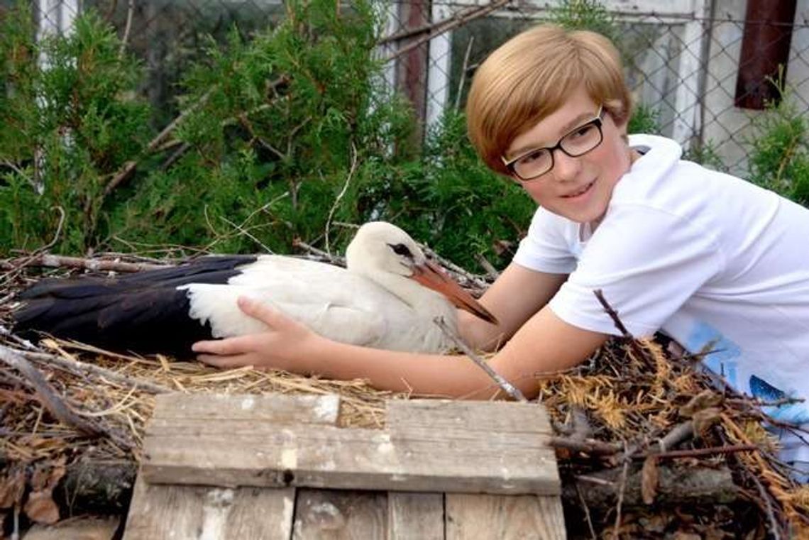 Kamil z Kozubszczyzny ratuje bociany: Chciałbym otworzyć ośrodek rehabilitacyjny Kamil z Kozubszczyzny ratuje bociany: Chciałbym otworzyć ośrodek rehabilitacyjny