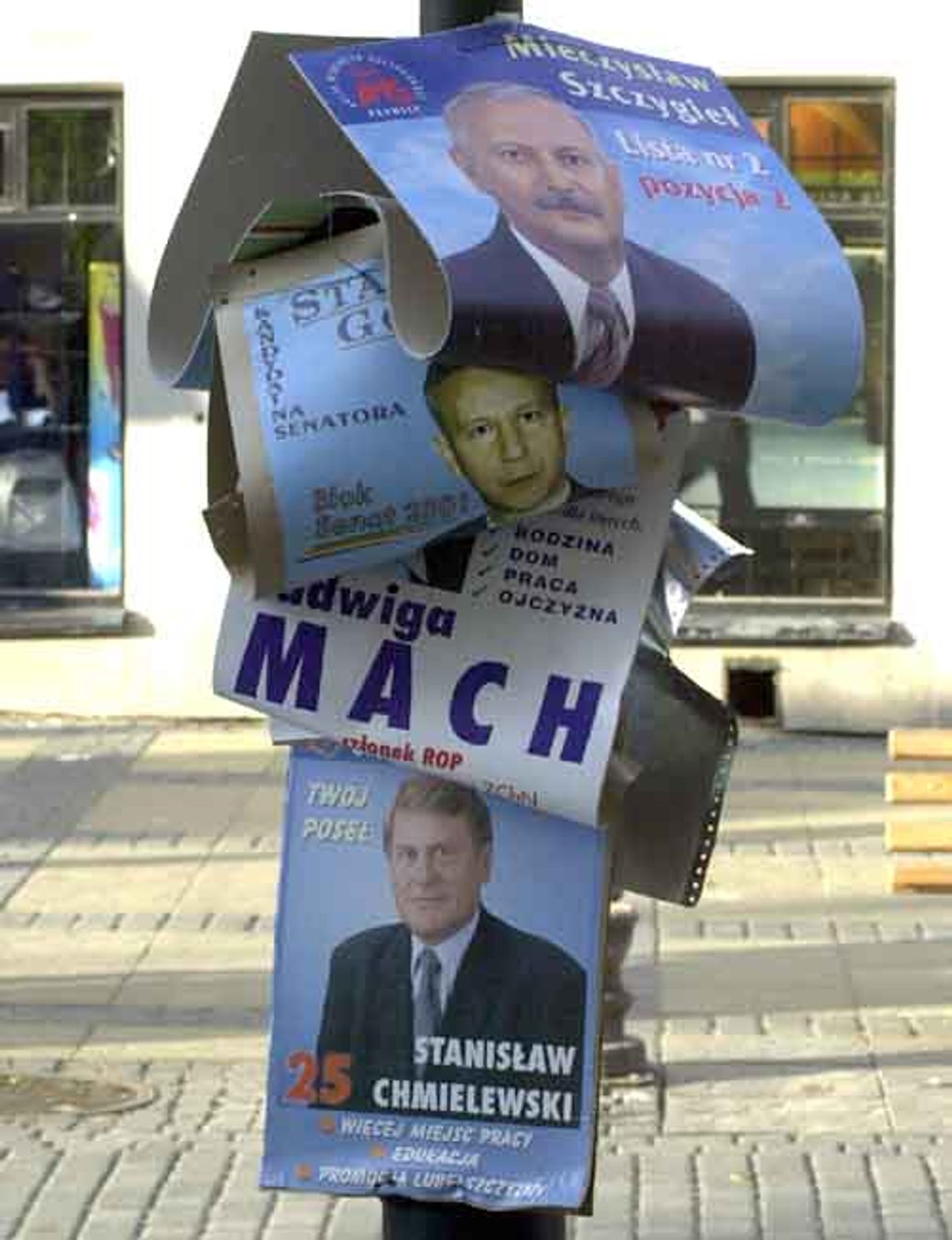 Kampania na dziko