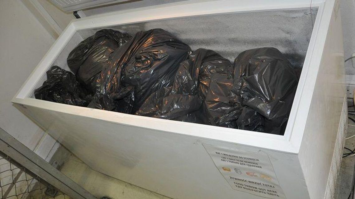 Kanapki, przekąski, desery. 53 tony jedzenia wylądowały w śmietniku Kanapki, przekąski, desery. 53 tony jedzenia wylądowały w śmietniku