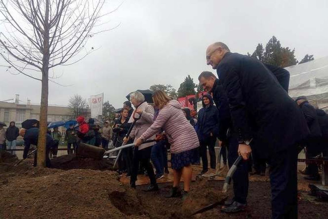 Kapsuła czasu zakopana. Umieszczono na niej prośbę