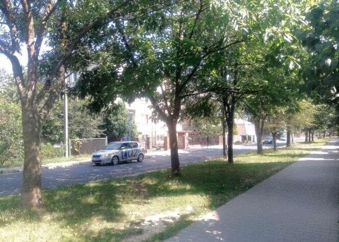 Kasztanowa: Przebudowa zajmie aż półtora roku