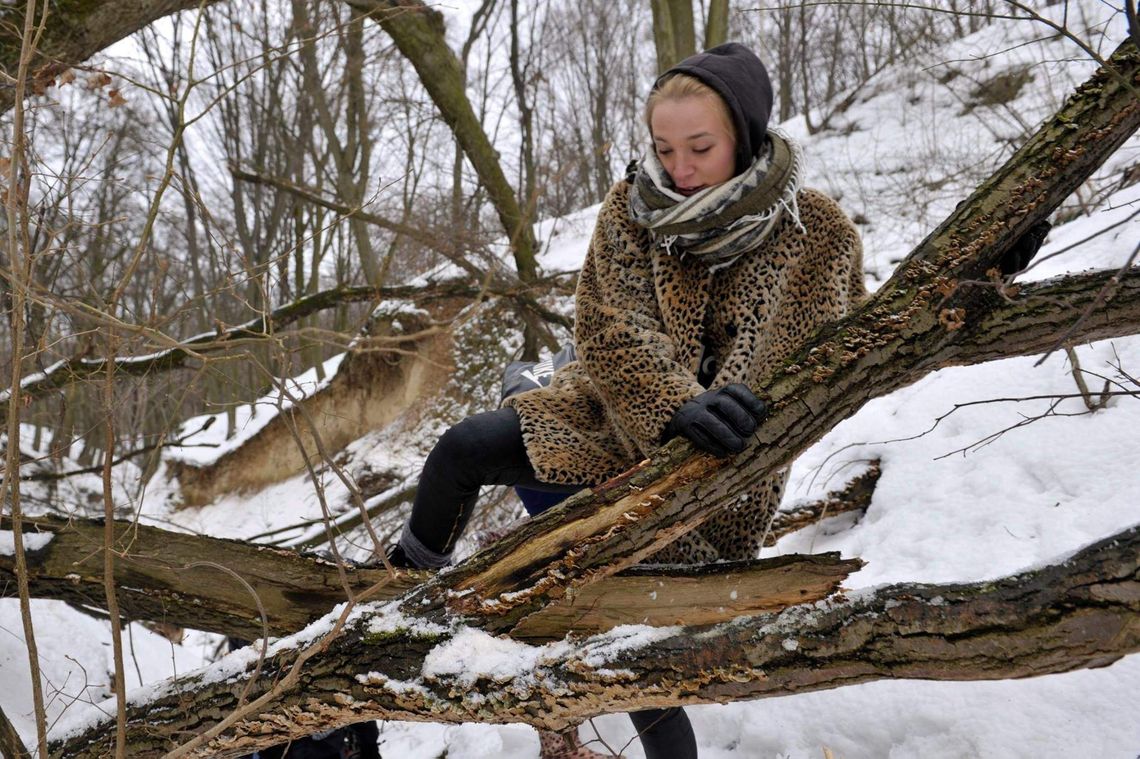 Kazimiernikejszyn 2015 (program)